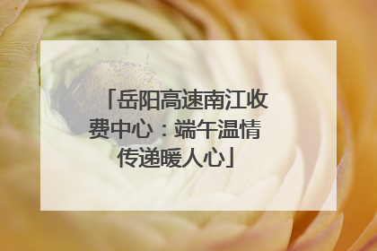 岳阳高速南江收费中心：端午温情传递暖人心